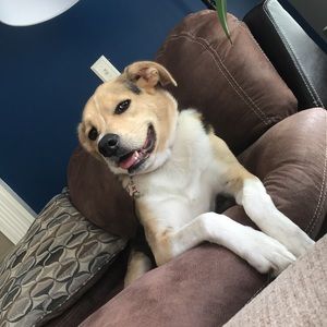 Meet your Posher, Avery